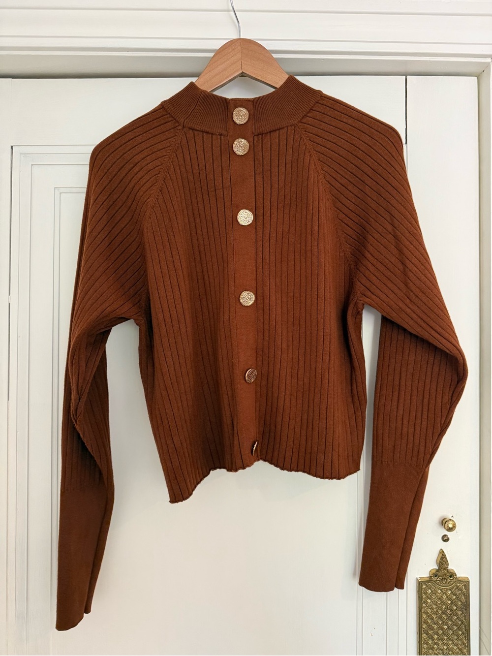 Zara Chestnut Ribbed Button-Back Sweater